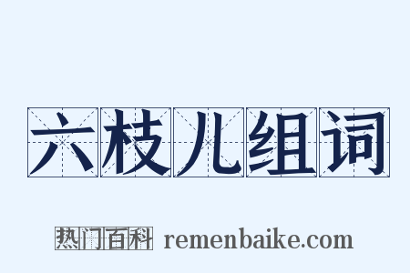 六枝儿组词是什么意思的图片